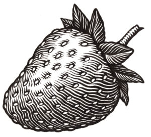 Frutilla