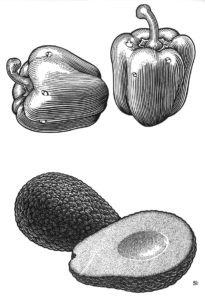 Pimiento y paltav2