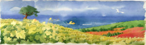 acuarela de viñas5